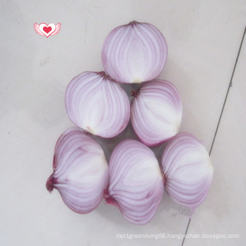 Fresh Shallots Onion /Fresh Red Onion Hot Sale